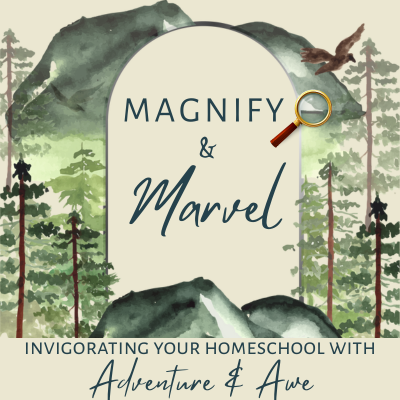 Magnify & Marvel