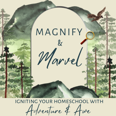 Magnify & Marvel